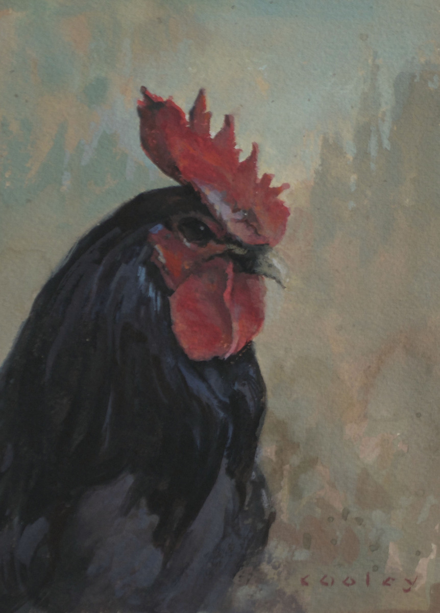 BLACK ROOSTER