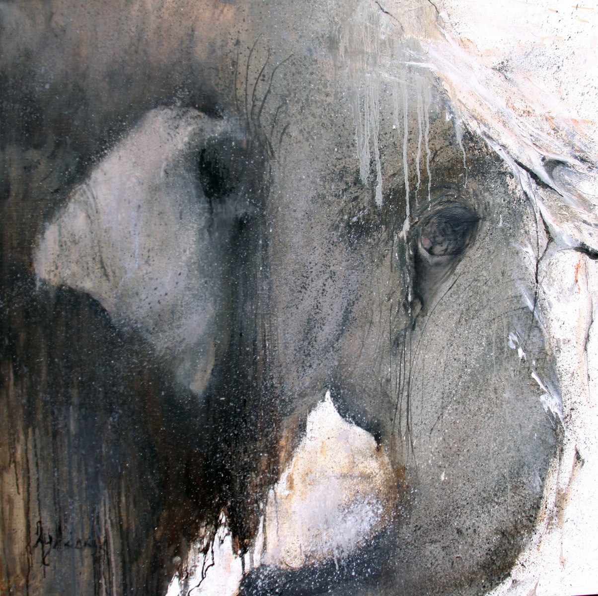 ELEPHANT SONG