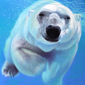 POLAR PLUNGE