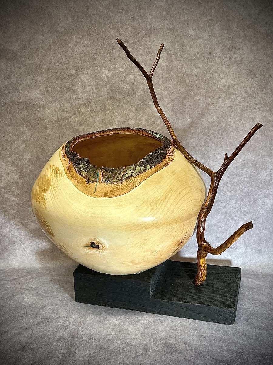HURRICANE HELENE SERIES,  SWEET BIRCH