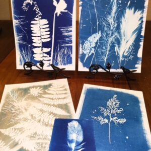 INTRO TO CYANOTYPE WORKSHOP