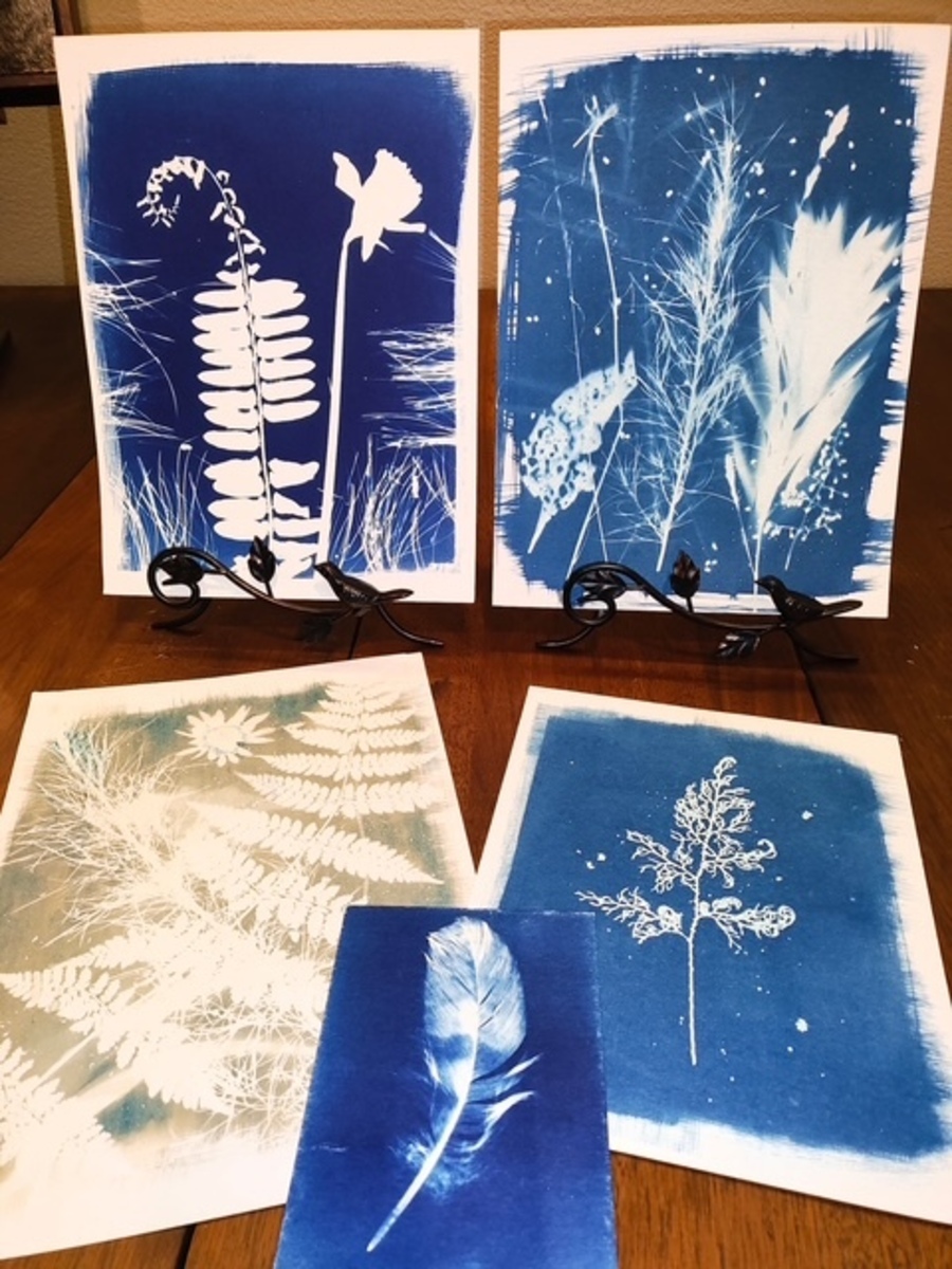 INTRO TO CYANOTYPE WORKSHOP