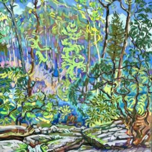 Cove Creek - Pisgah Forest