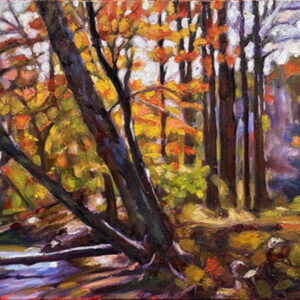 Vaughn Creek Trail