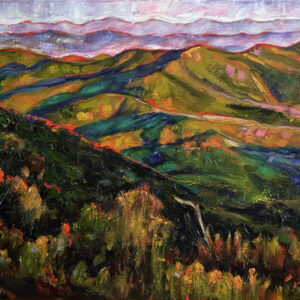 Pisgah Inn Overlook
