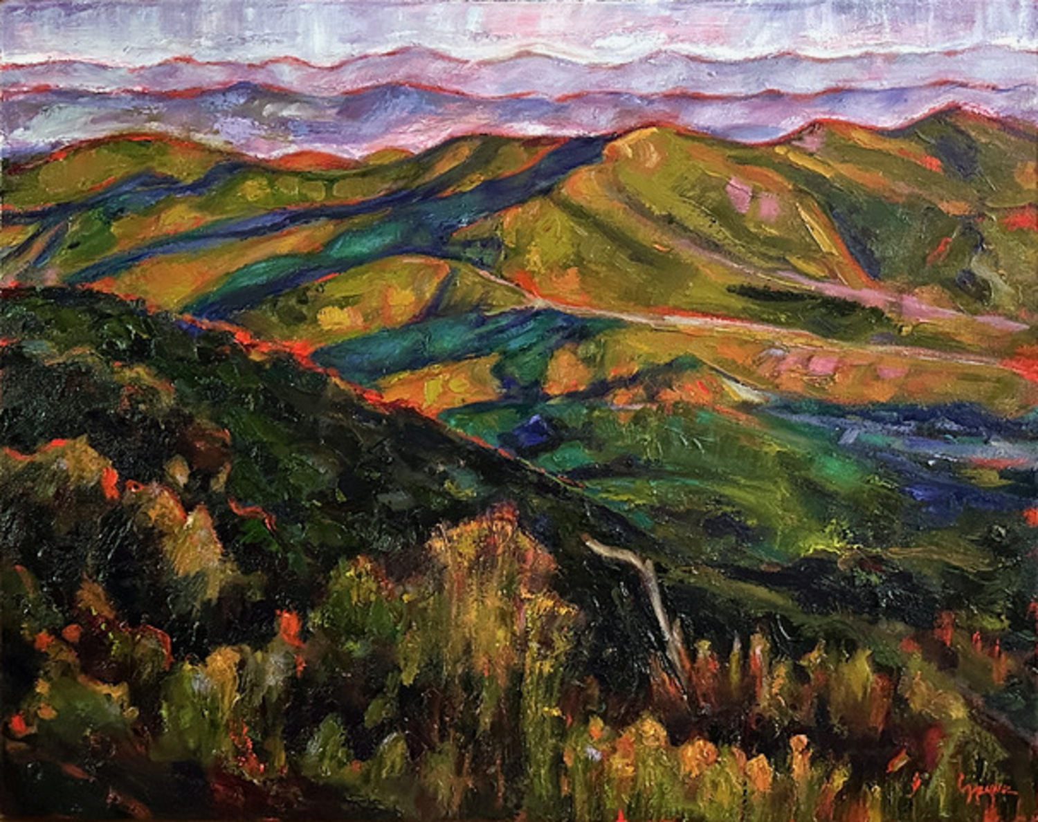 Pisgah Inn Overlook
