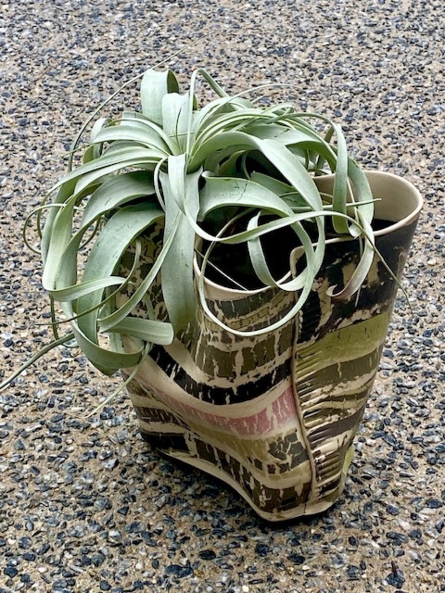 XL Air plant container