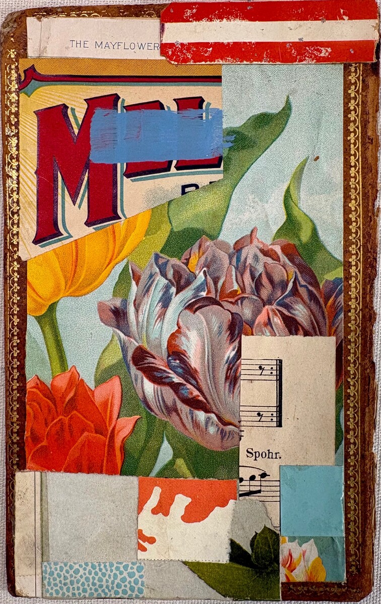 MAYFLOWER