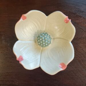 Dogwood Blossom